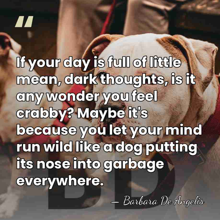 If your day is full of little mean, dark thoughts, is it&hellip; - Barbara De Angelis