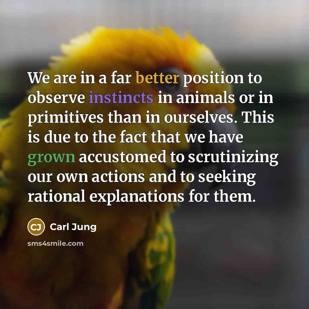 “We are in a far better position to observe instincts in animals or in primitives than in ourselves. This is due to the fact that we have grown accustomed to scrutinizing our own actions and to seeking rational explanations for them.” quote by Carl Jung