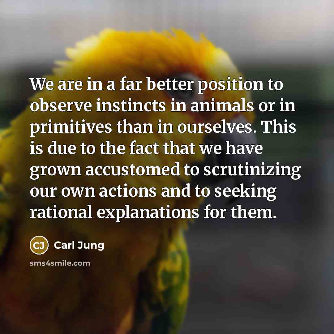 “We are in a far better position to observe instincts…” quote by Carl Jung