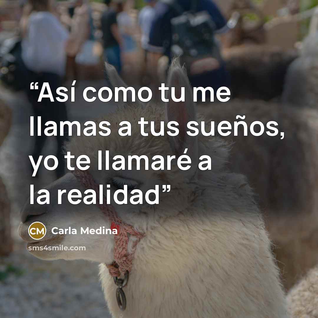 “Así como tu me llamas a tus sueños, yo te llamaré a la realidad” quote by Carla Medina