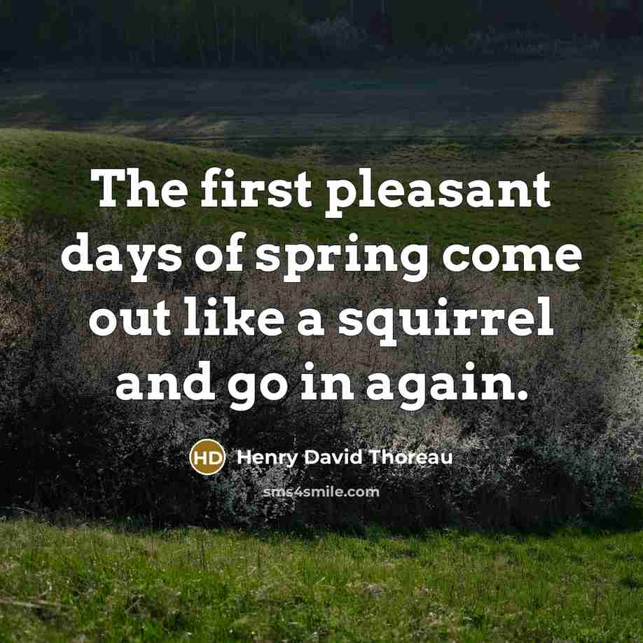 “The first pleasant days of spring come out like a…” quote by Henry David Thoreau