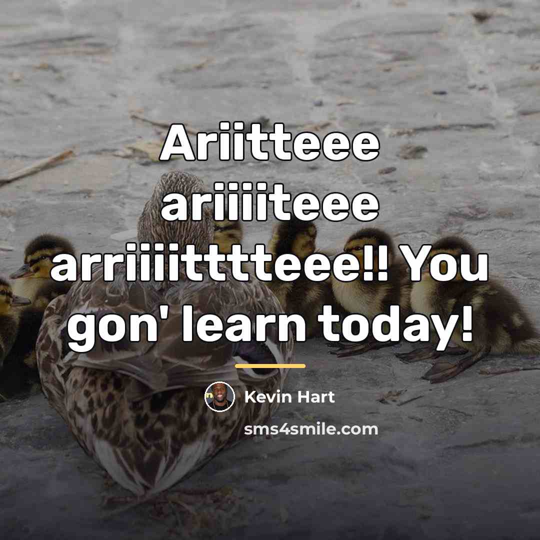 “Ariitteee ariiiiteee arriiiitttteee!! You gon' learn today!…” quote by Kevin Hart