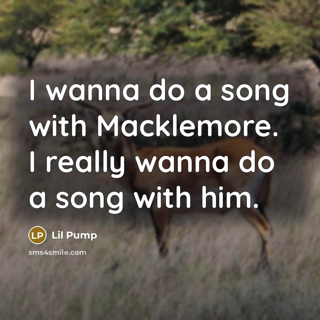 “I wanna do a song with Macklemore. I really wanna…” quote by Lil Pump