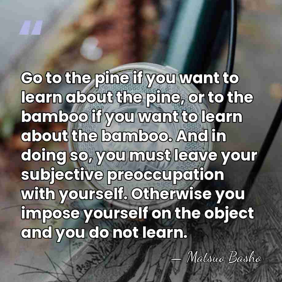 Go to the pine if you want to learn about the pine,&hellip; - Matsuo Basho