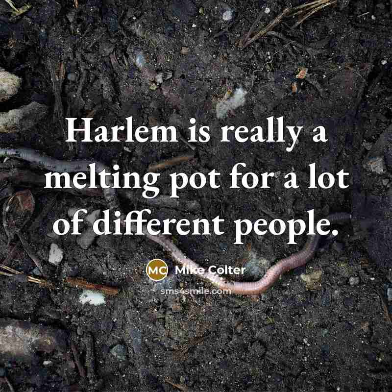 “Harlem is really a melting pot for a lot of…” quote by Mike Colter