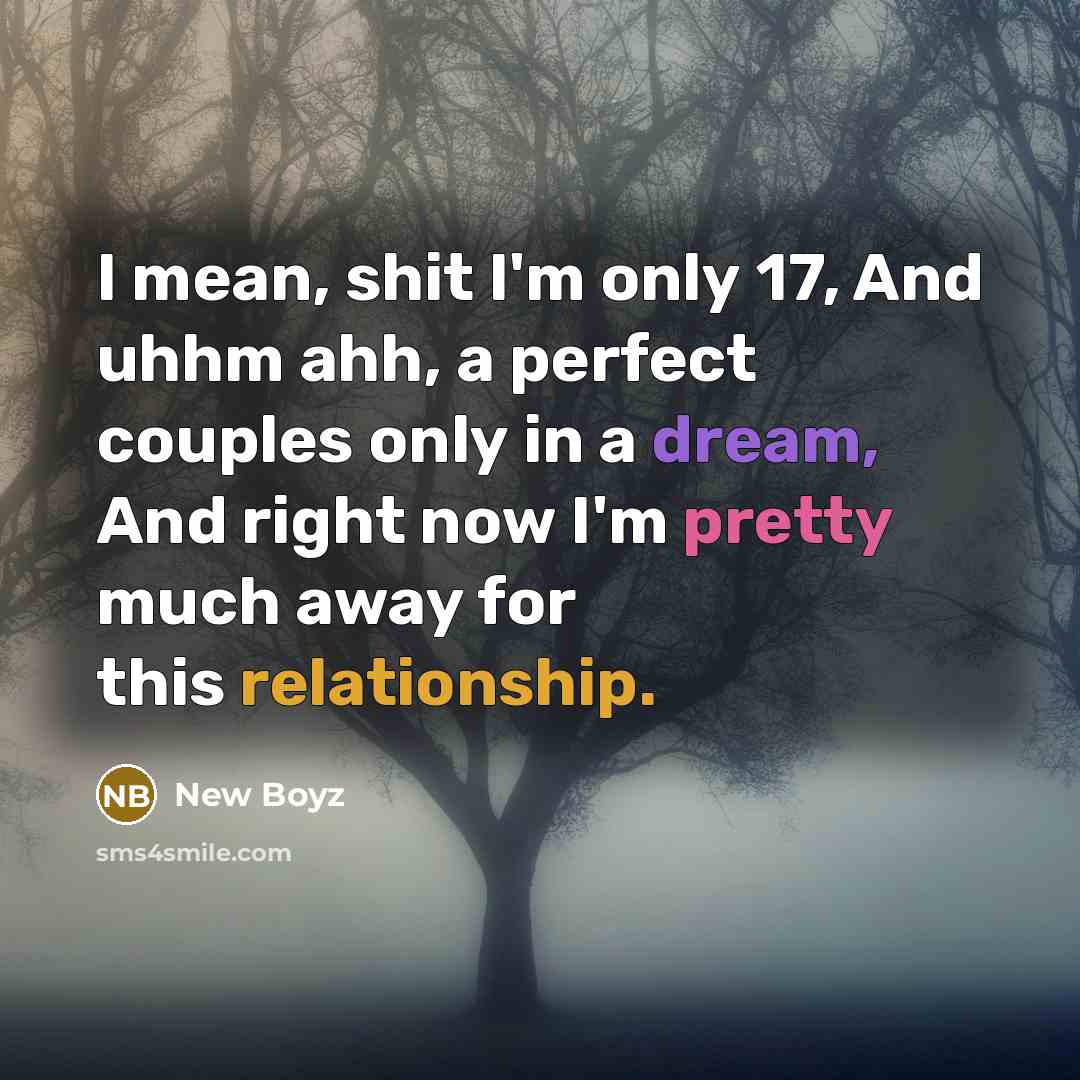“I mean, shit I'm only 17, And uhhm ahh, a perfect couples only in a dream, And right now I'm pretty much away for this relationship.” quote by New Boyz
