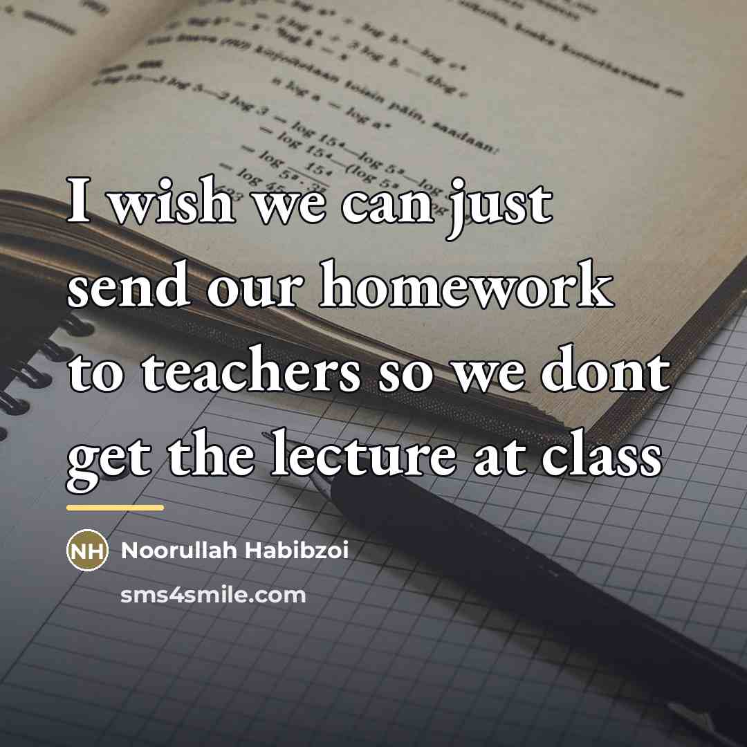 “I wish we can just send our homework to teachers…” quote by Noorullah Habibzoi