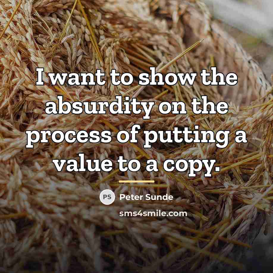“I want to show the absurdity on the process of…” quote by Peter Sunde