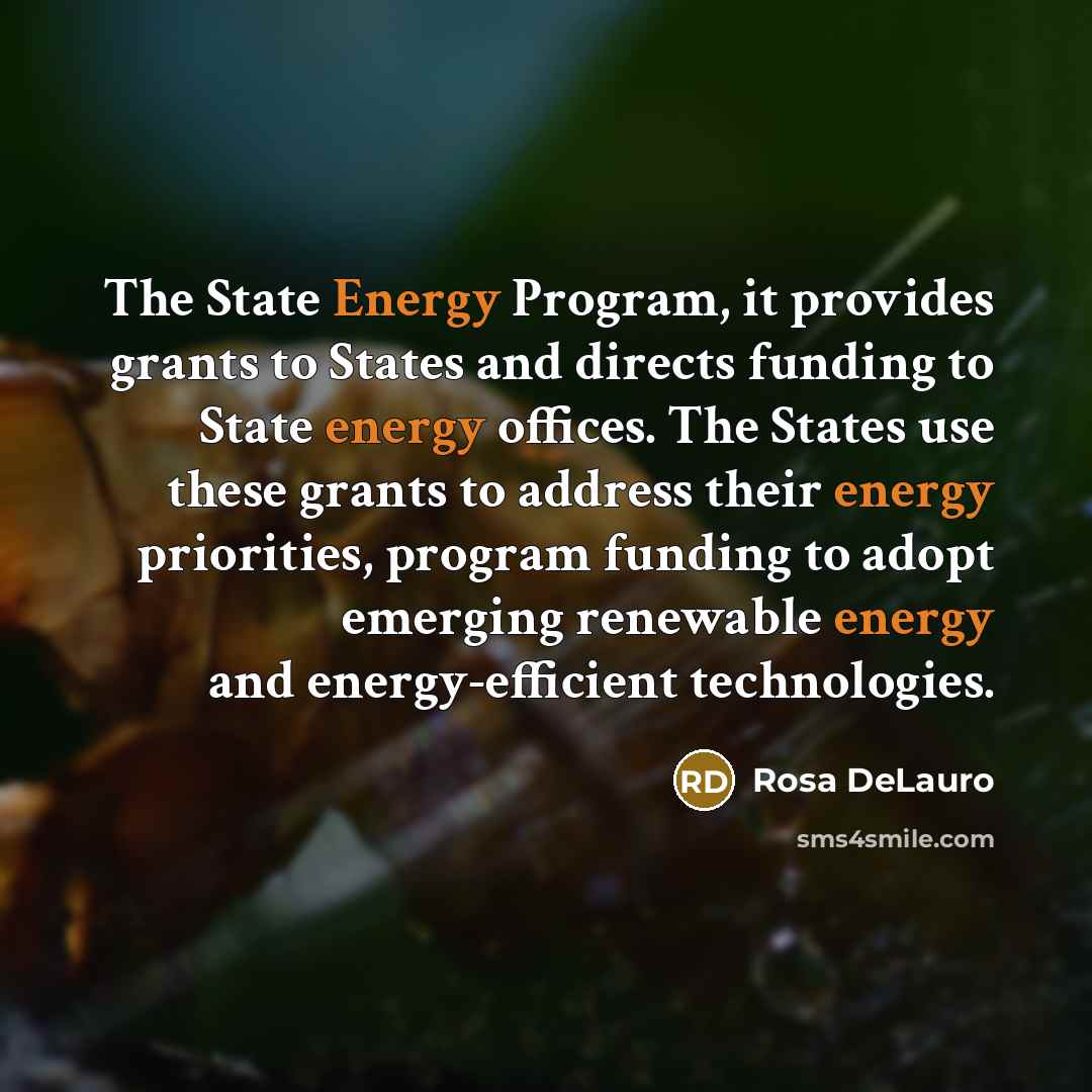 “The State Energy Program, it provides grants to States and…” quote by Rosa DeLauro
