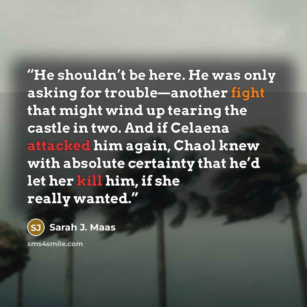 “He shouldn’t be here. He was only asking for trouble—another fight that might wind up tearing the castle in two. And if Celaena attacked him again, Chaol knew with absolute certainty that he’d let her kill him, if she really wanted.” quote by Sarah J. Maas