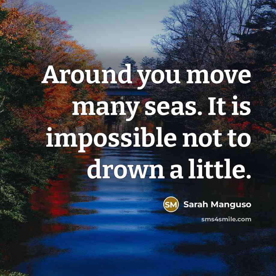 “Around you move many seas. It is impossible not to drown a little.” quote by Sarah Manguso