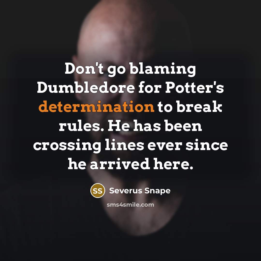 “Don't go blaming Dumbledore for Potter's determination to break rules. He has been crossing lines ever since he arrived here.” quote by Severus Snape