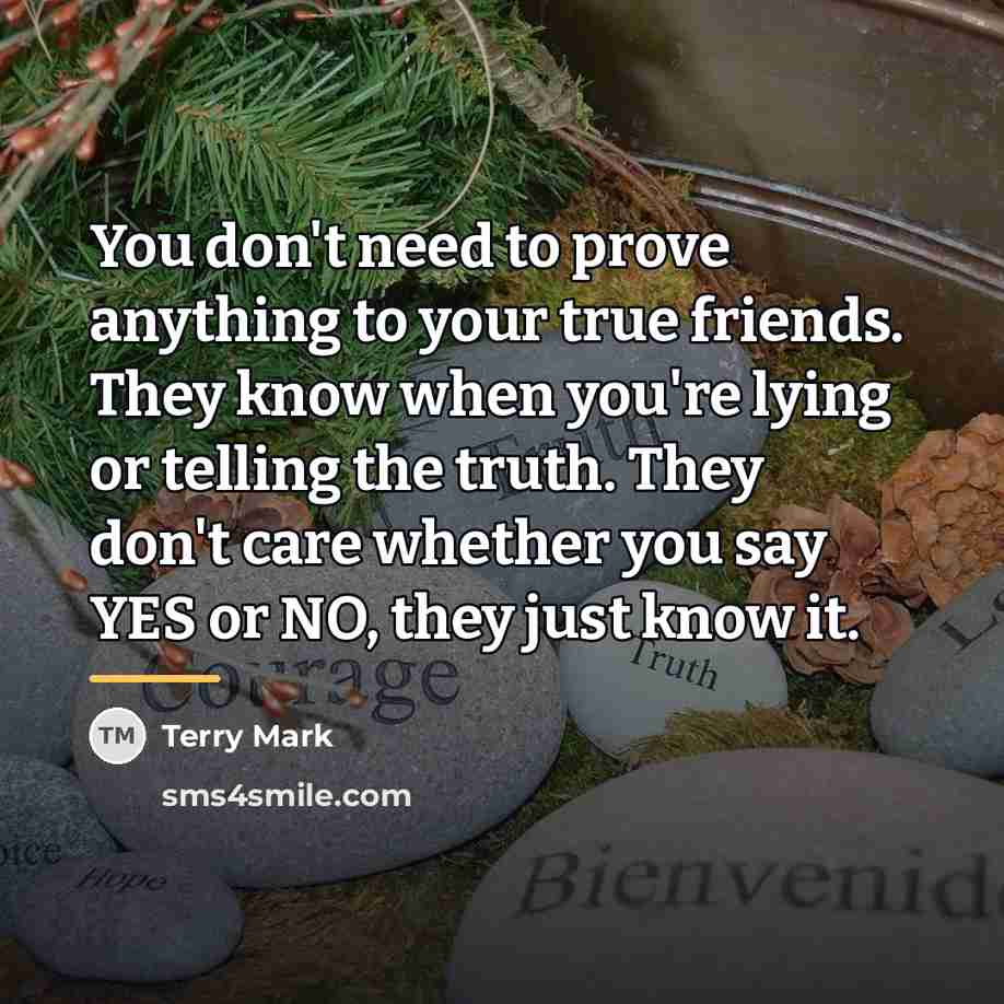 “You don't need to prove anything to your true friends.…” quote by Terry Mark