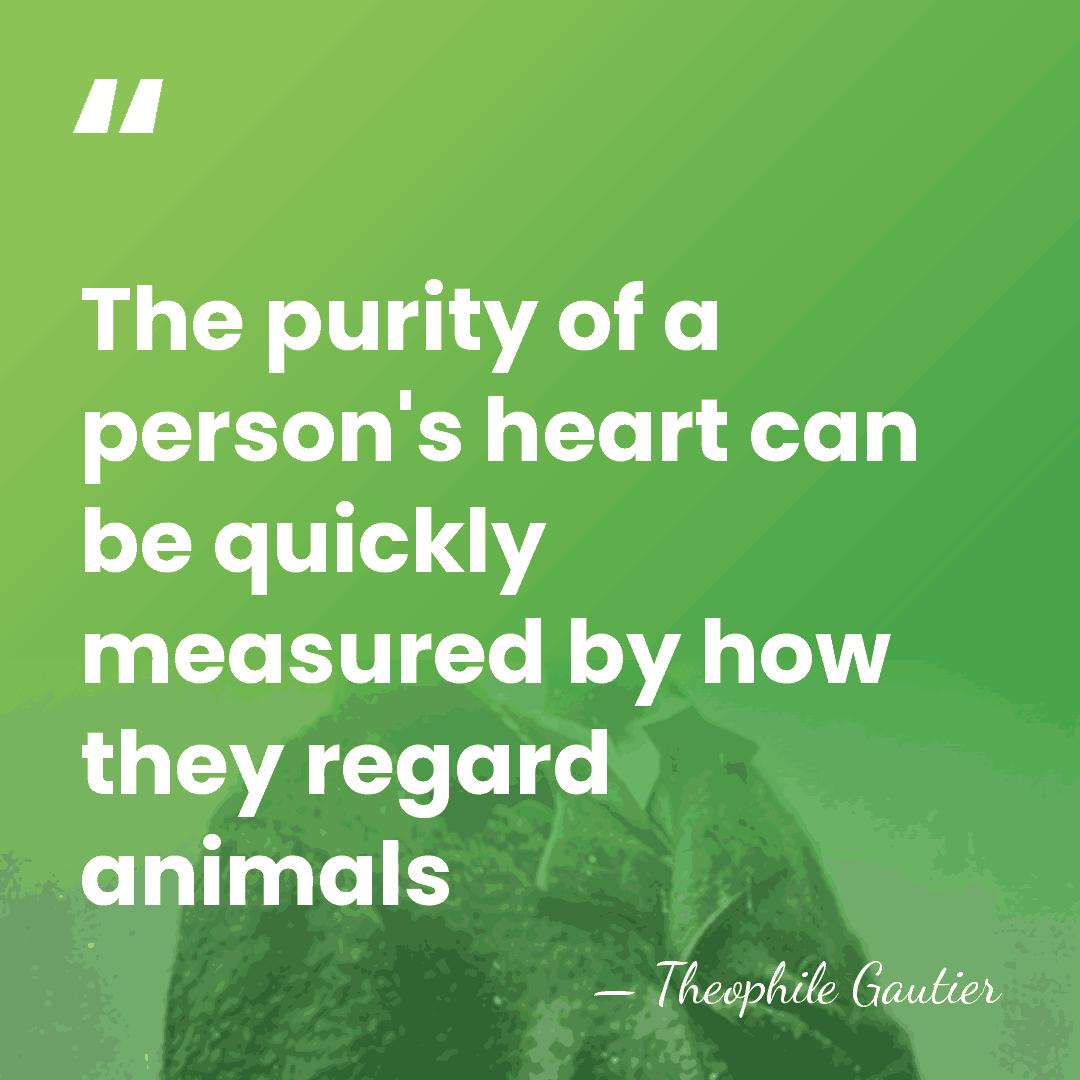 The purity of a person's heart can be quickly measured by how&hellip; - Theophile Gautier