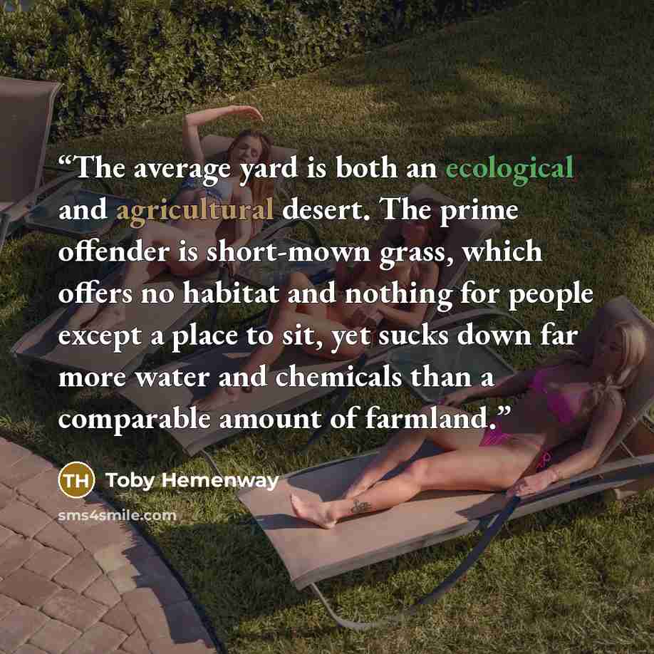 “The average yard is both an ecological and agricultural desert. The prime offender is short-mown grass, which offers no habitat and nothing for people except a place to sit, yet sucks down far more water and chemicals than a comparable amount of farmland.” quote by Toby Hemenway