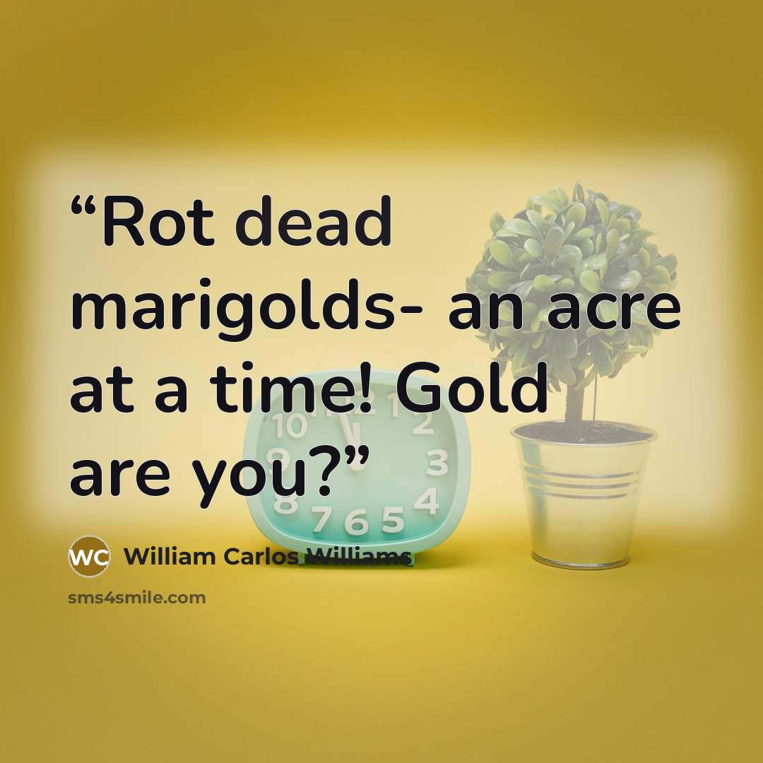“Rot dead marigolds- an acre at a time! Gold are you?” quote by William Carlos Williams