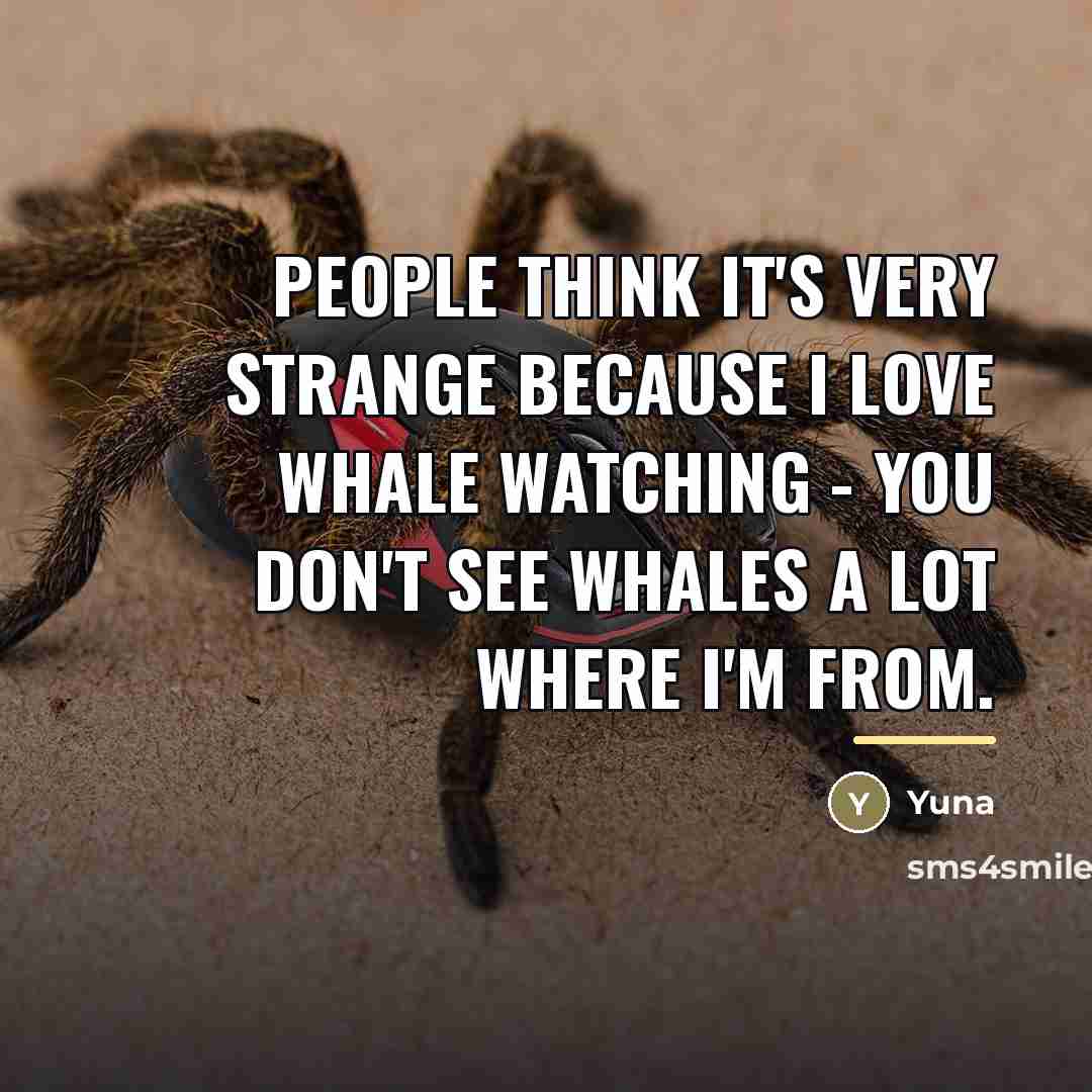 “People think it's very strange because I love whale watching…” quote by Yuna