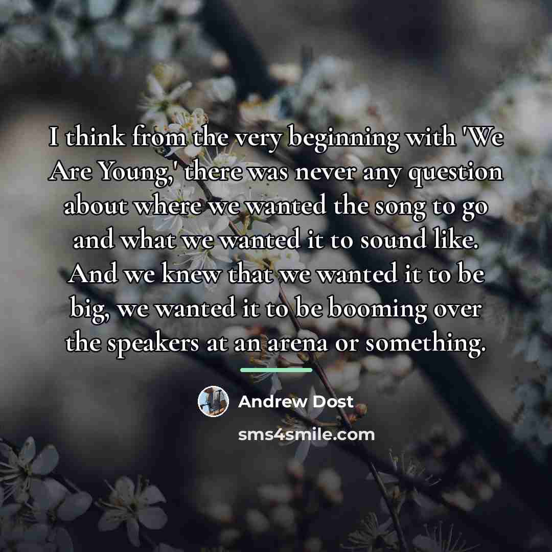 “I think from the very beginning with 'We Are Young,'…” quote by Andrew Dost