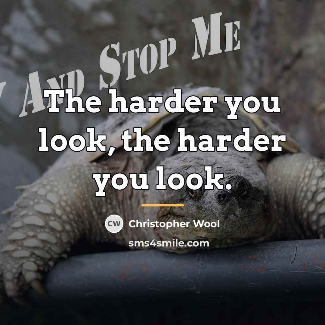 “The harder you look, the harder you look.…” quote by Christopher Wool