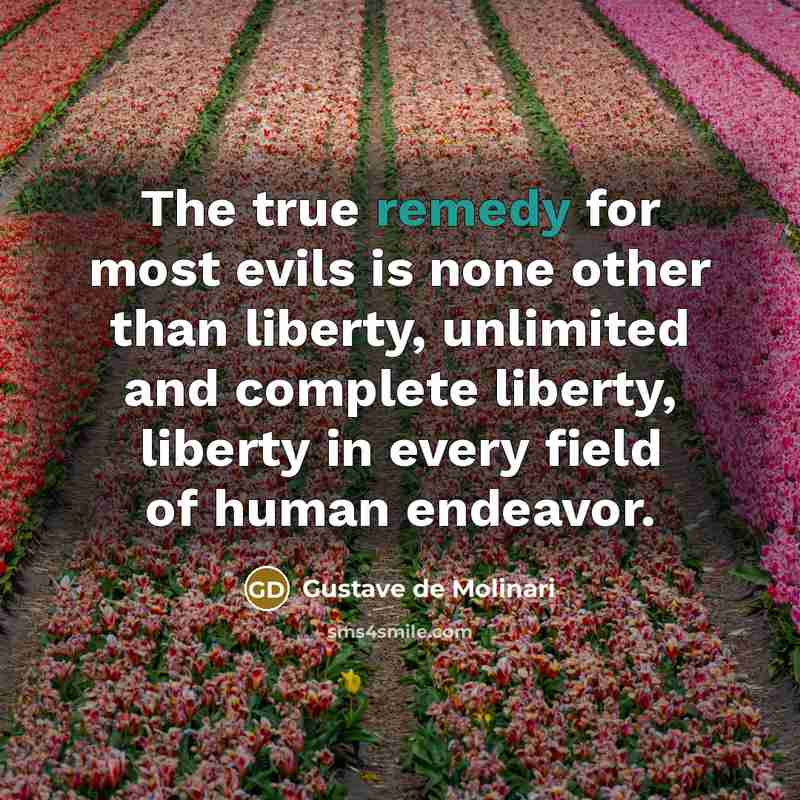 “The true remedy for most evils is none other than…” quote by Gustave de Molinari
