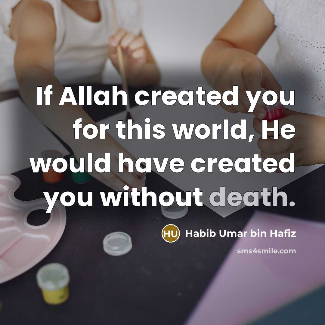 “If Allah created you for this world, He would have…” quote by Habib Umar bin Hafiz