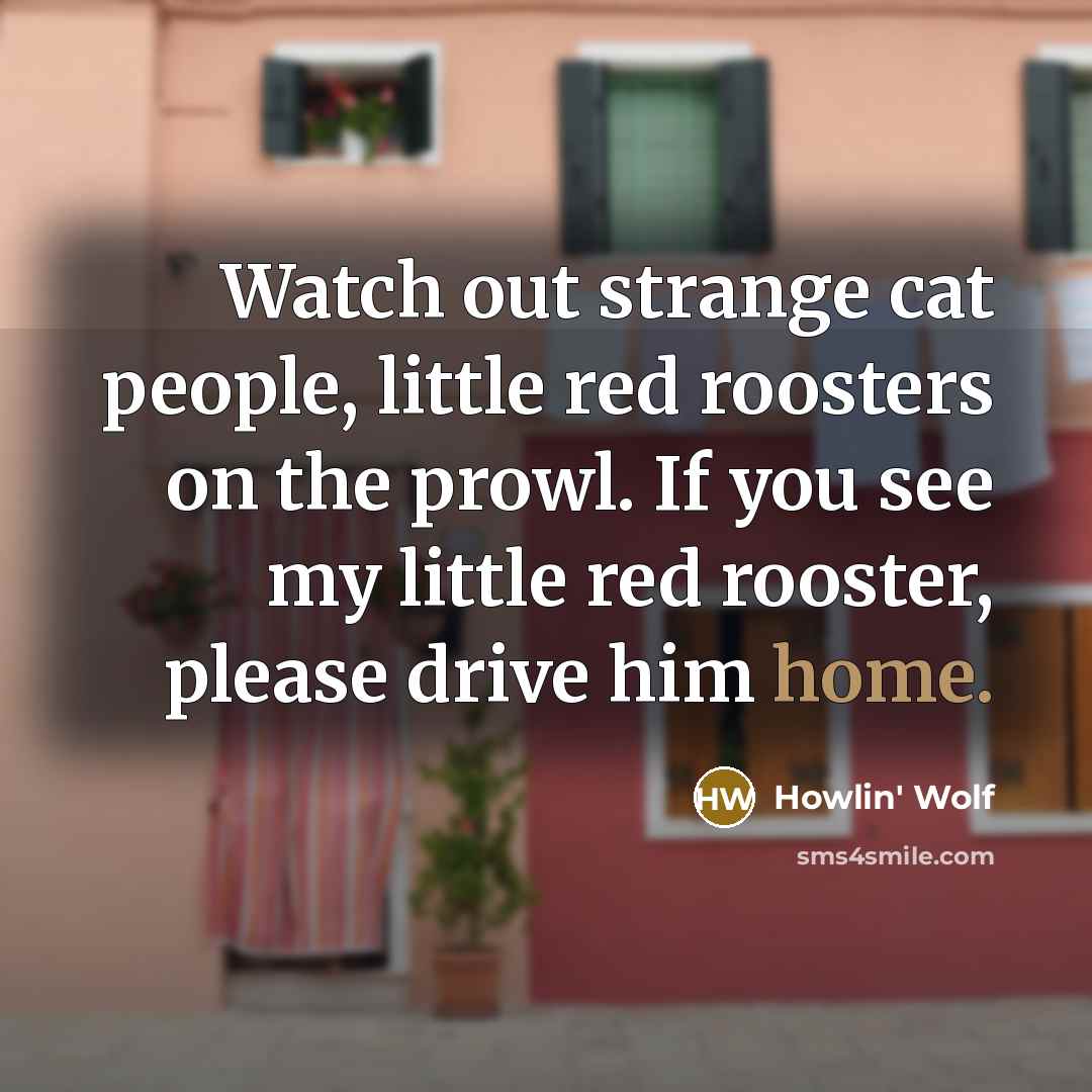 “Watch out strange cat people, little red roosters on the…” quote by Howlin' Wolf