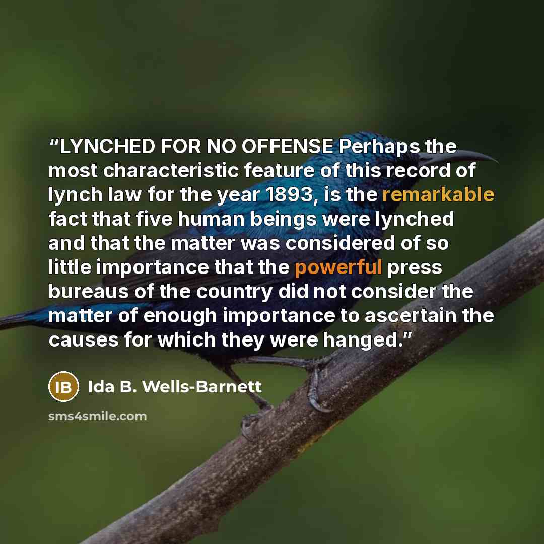 “LYNCHED FOR NO OFFENSE Perhaps the most characteristic feature of this record of lynch law for the year 1893, is the remarkable fact that five human beings were lynched and that the matter was considered of so little importance that the powerful press bureaus of the country did not consider the…” quote by Ida B. Wells-Barnett