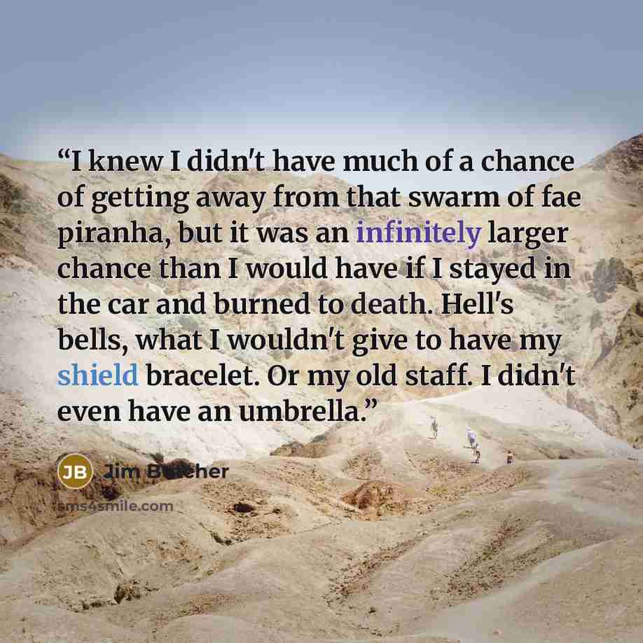 “I knew I didn't have much of a chance of getting away from that swarm of fae piranha, but it was an infinitely larger chance than I would have if I stayed in the car and burned to death. Hell's bells, what I wouldn't give to have my shield bracelet. Or my old staff. I didn't even have an umbrella.” quote by Jim Butcher