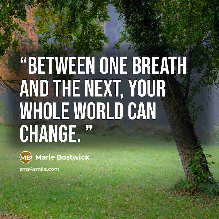 “Between one breath and the next, your whole world can change.” quote by Marie Bostwick