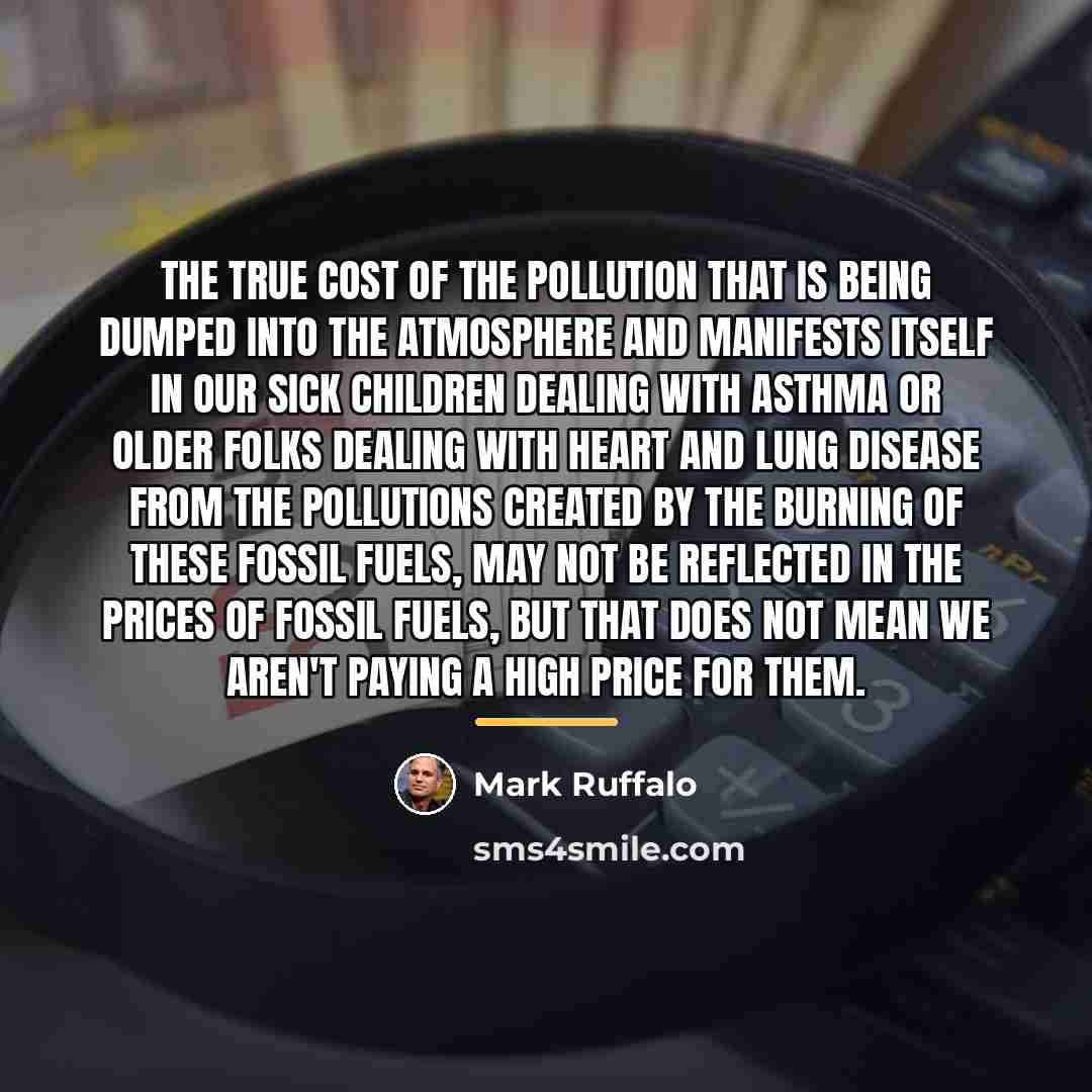 “The true cost of the pollution that is being dumped…” quote by Mark Ruffalo