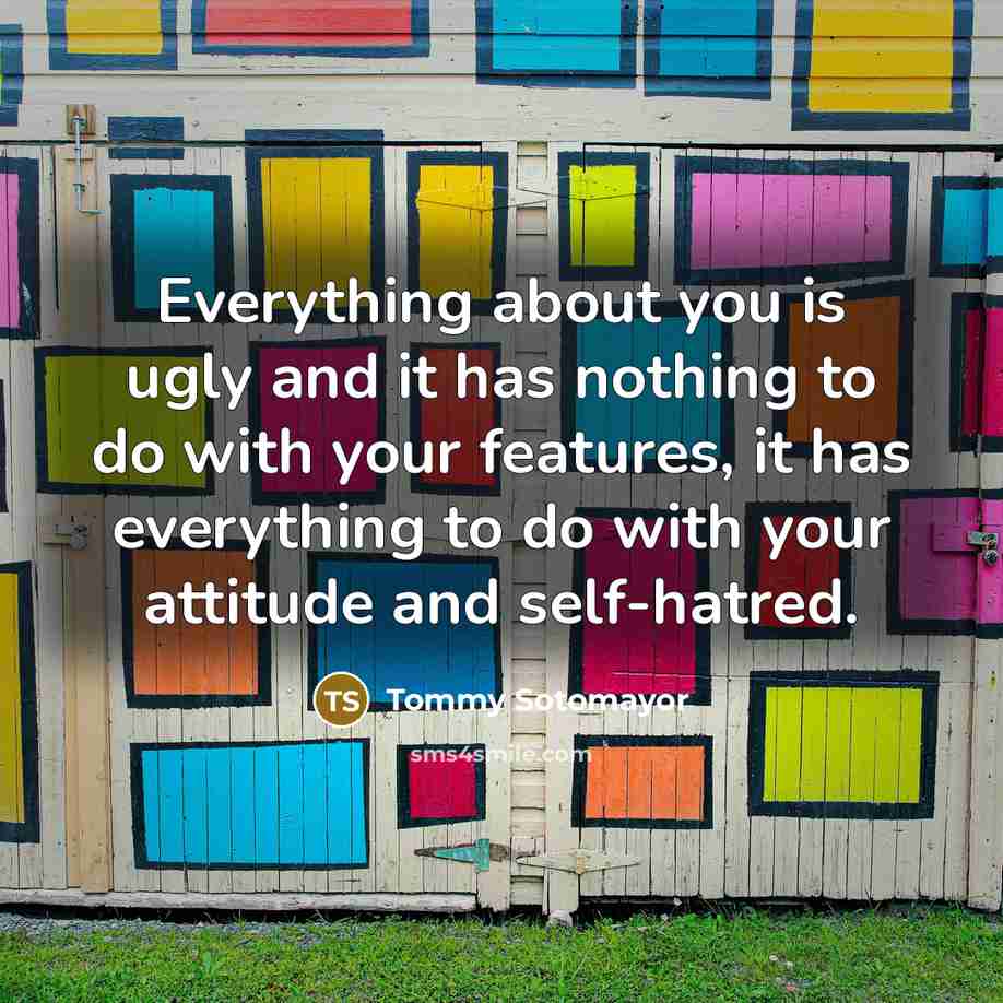 “Everything about you is ugly and it has nothing to do with your features, it has everything to do with your attitude and self-hatred.” quote by Tommy Sotomayor