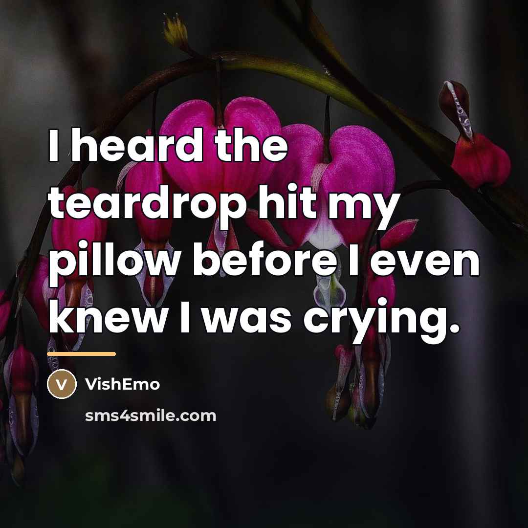 “I heard the teardrop hit my pillow before I even…” quote by VishEmo
