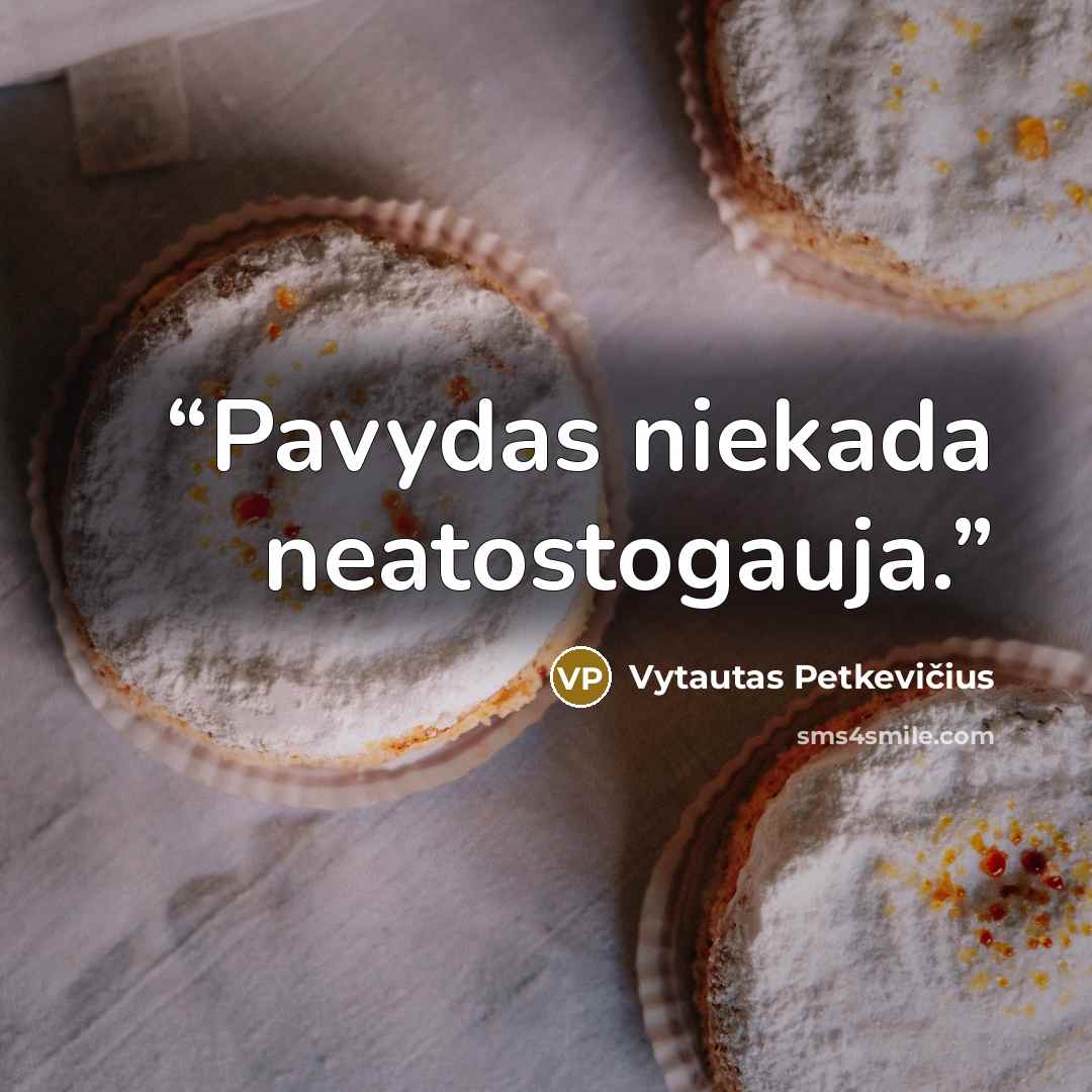 “Pavydas niekada neatostogauja.” quote by Vytautas Petkevičius