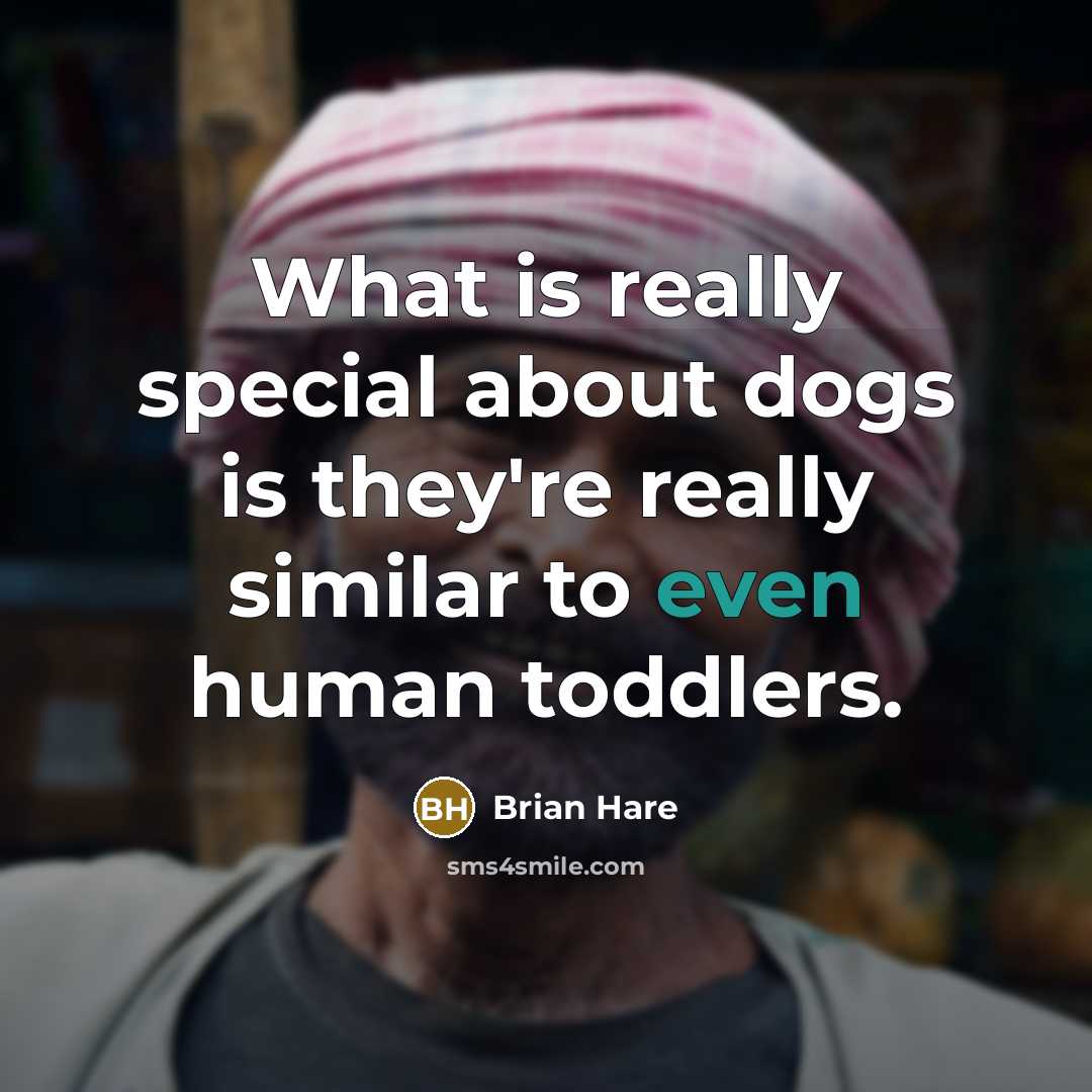 “What is really special about dogs is they're really similar…” quote by Brian Hare