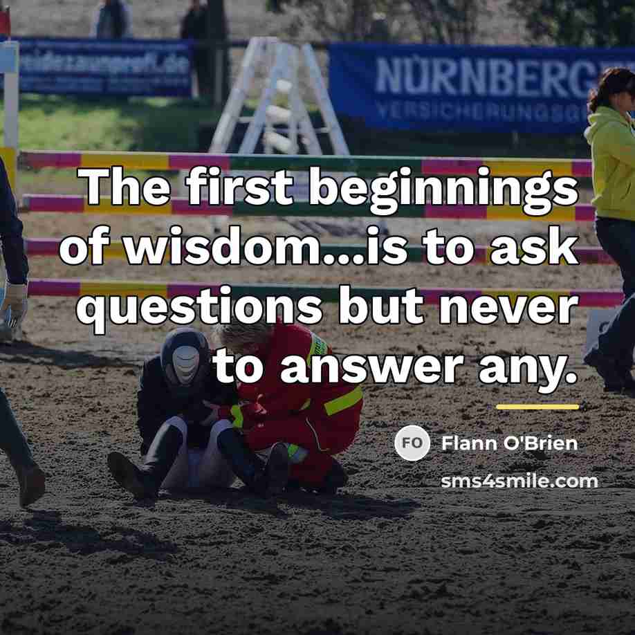 “The first beginnings of wisdom...is to ask questions but never…” quote by Flann O'Brien