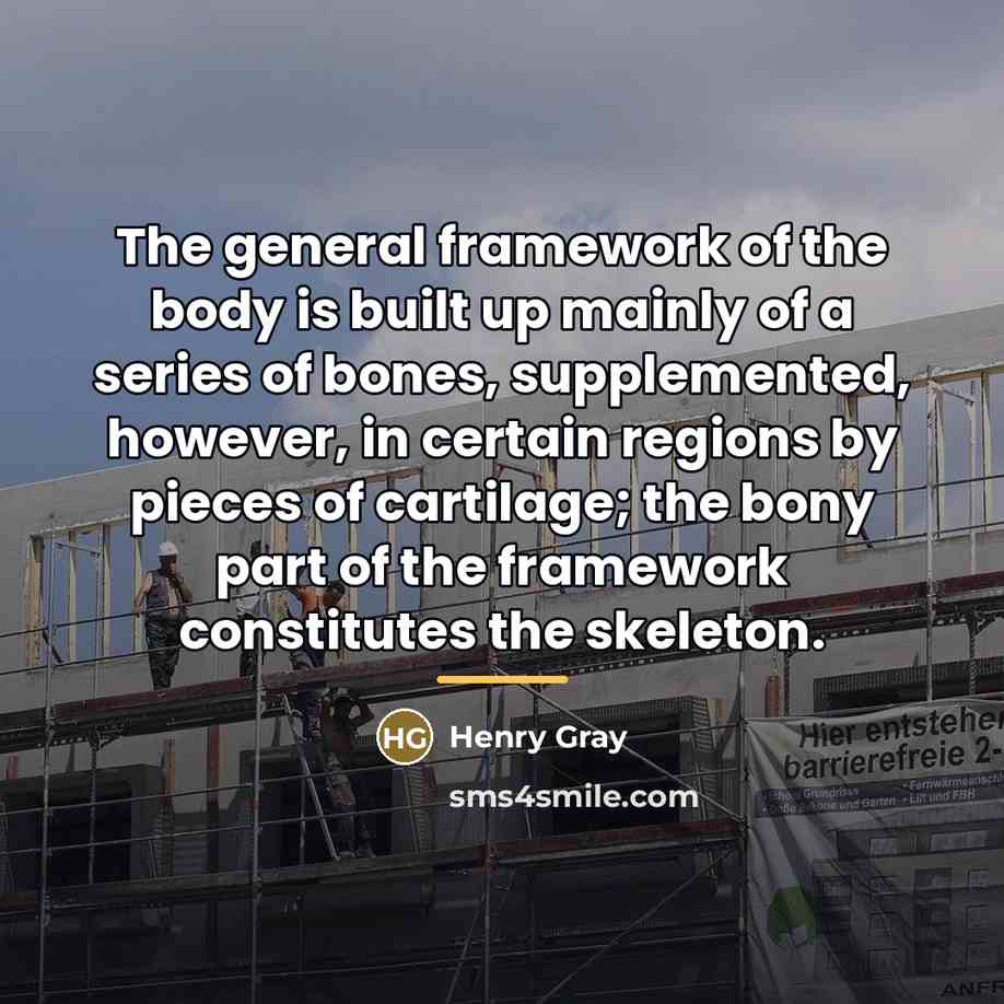 “The general framework of the body is built up mainly…” quote by Henry Gray