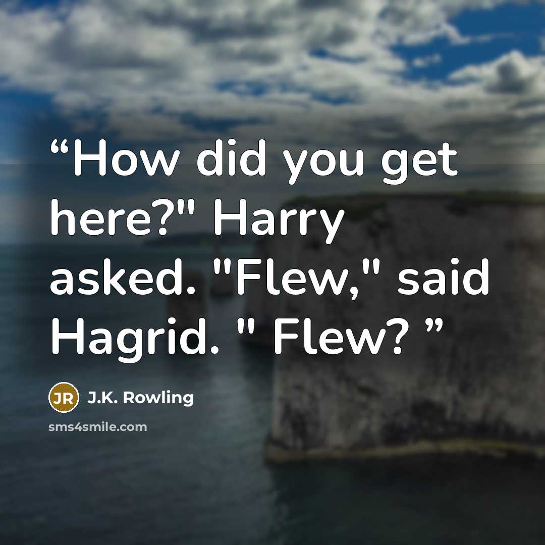 “How did you get here?" Harry asked. "Flew," said Hagrid. " Flew?” quote by J.K. Rowling