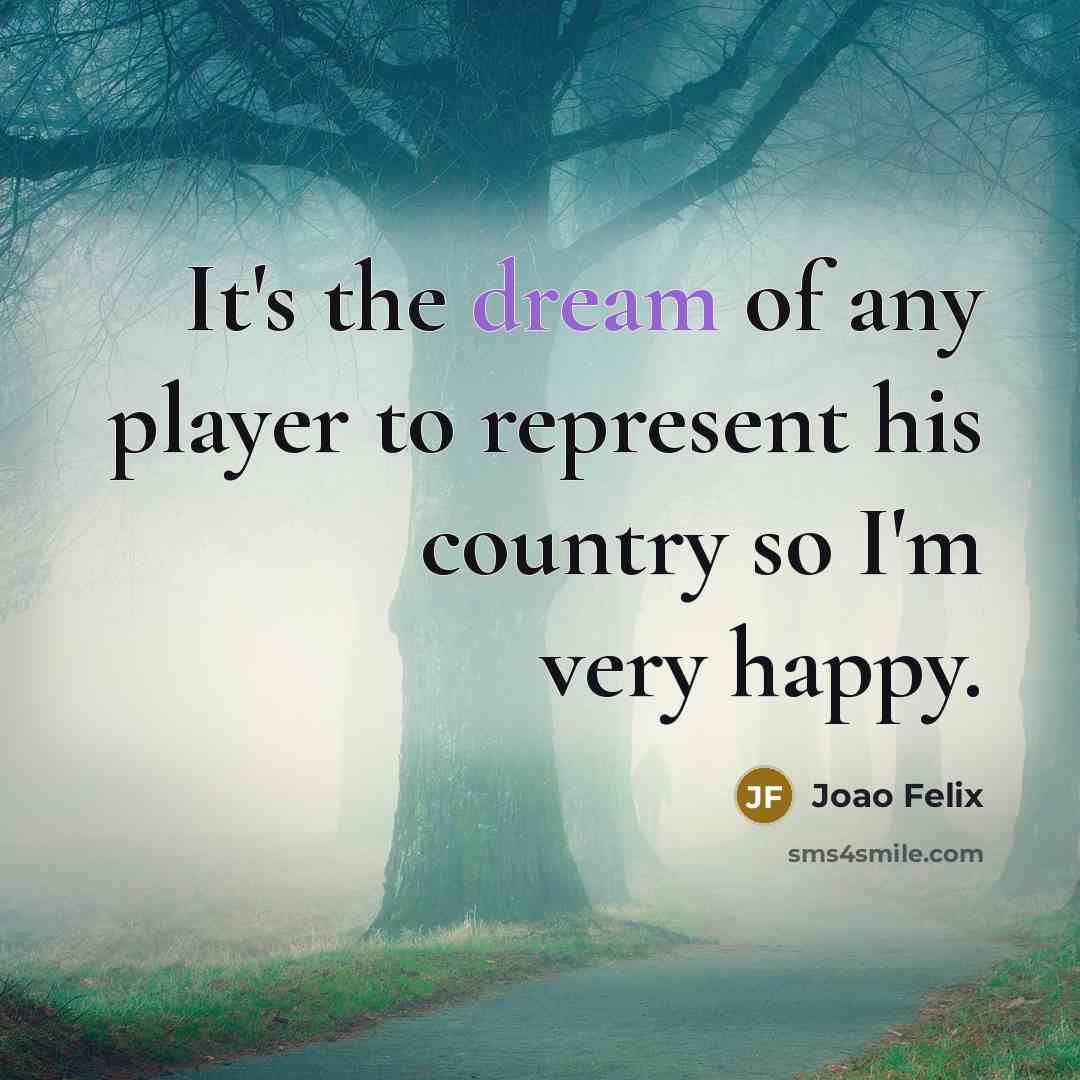 “It's the dream of any player to represent his country…” quote by Joao Felix