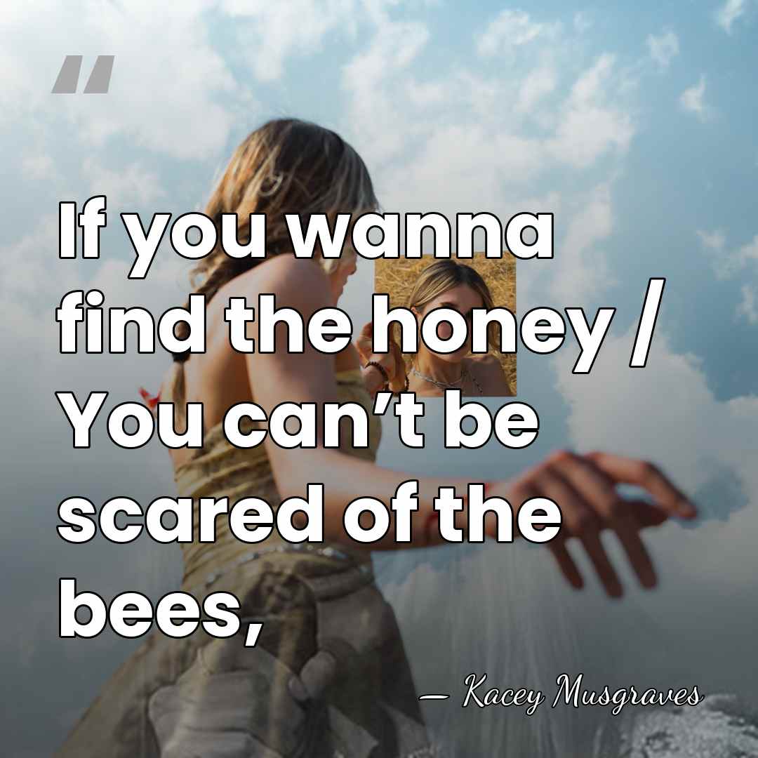 If you wanna find the honey / You can’t be scared of&hellip; - Kacey Musgraves