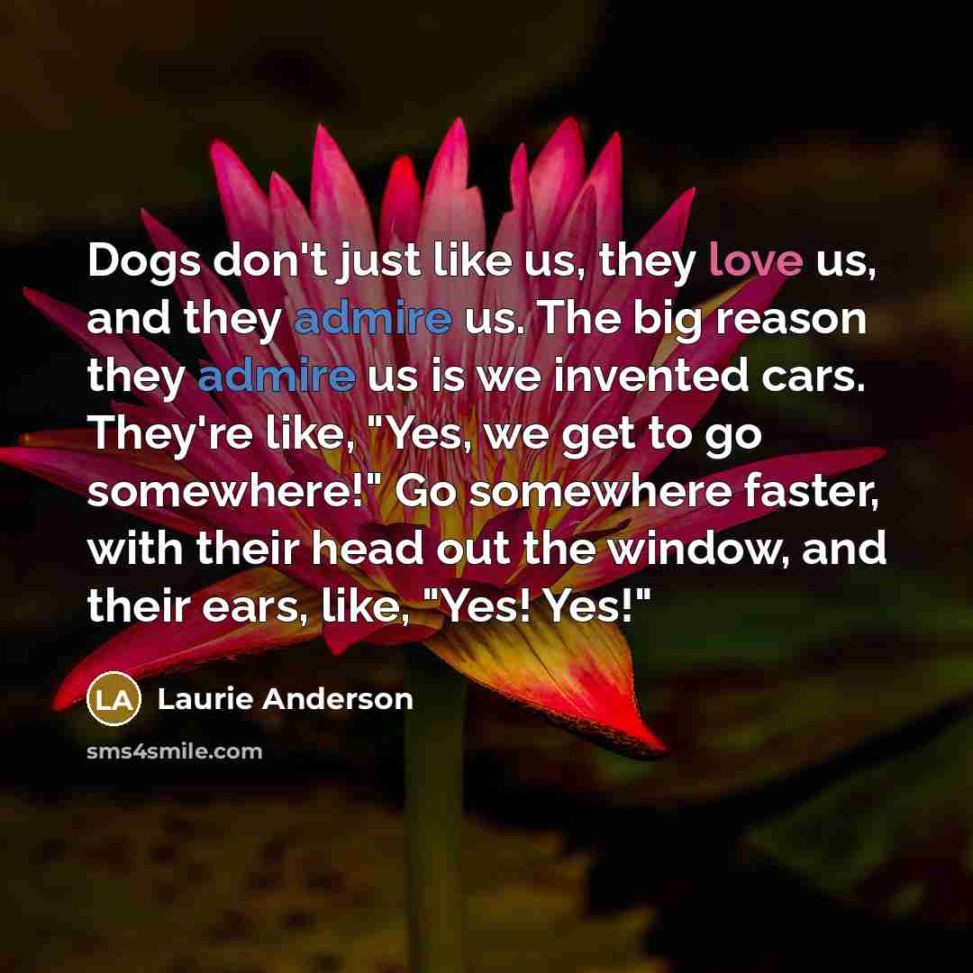 “Dogs don't just like us, they love us, and they…” quote by Laurie Anderson