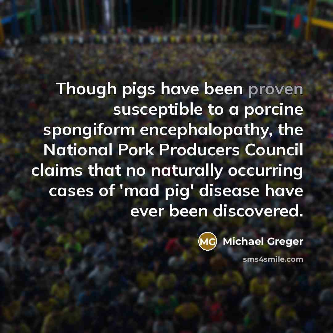 “Though pigs have been proven susceptible to a porcine spongiform…” quote by Michael Greger