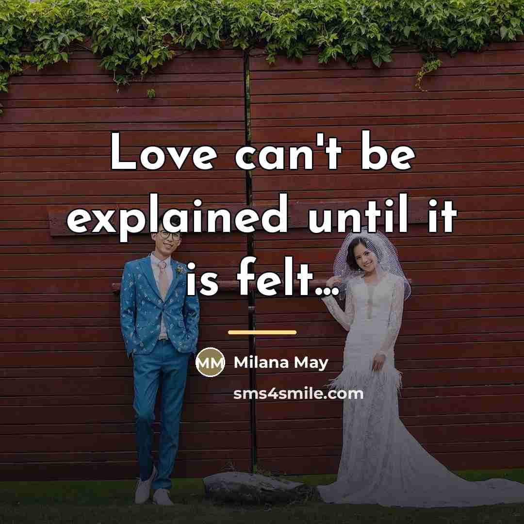 “Love can't be explained until it is felt...…” quote by Milana May