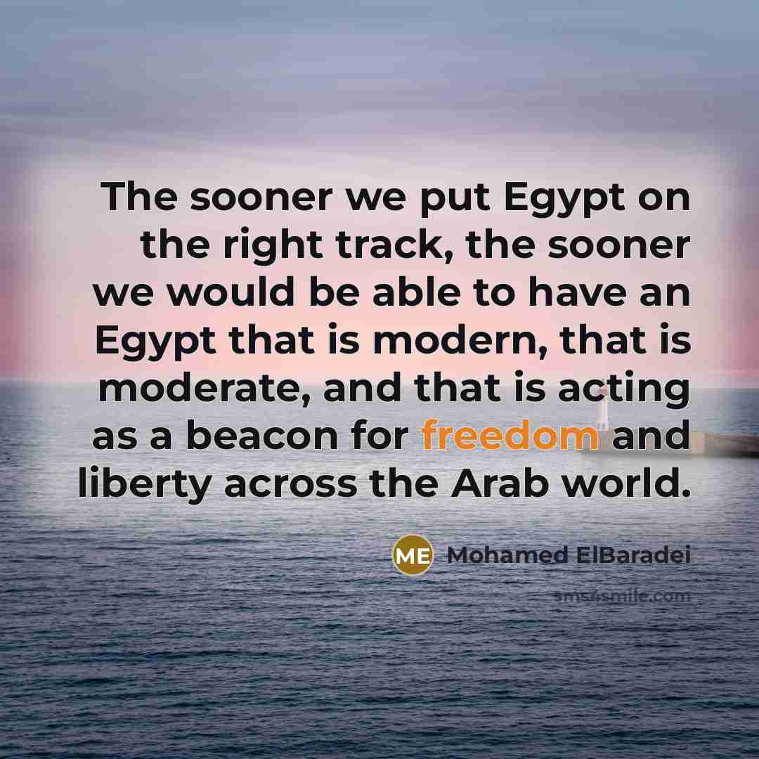“The sooner we put Egypt on the right track, the…” quote by Mohamed ElBaradei