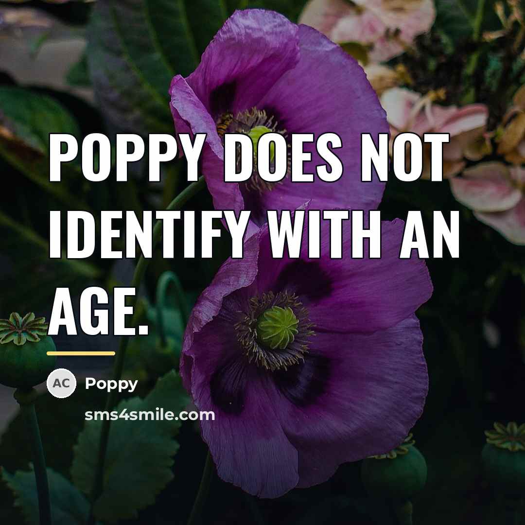 “Poppy does not identify with an age.…” quote by Poppy