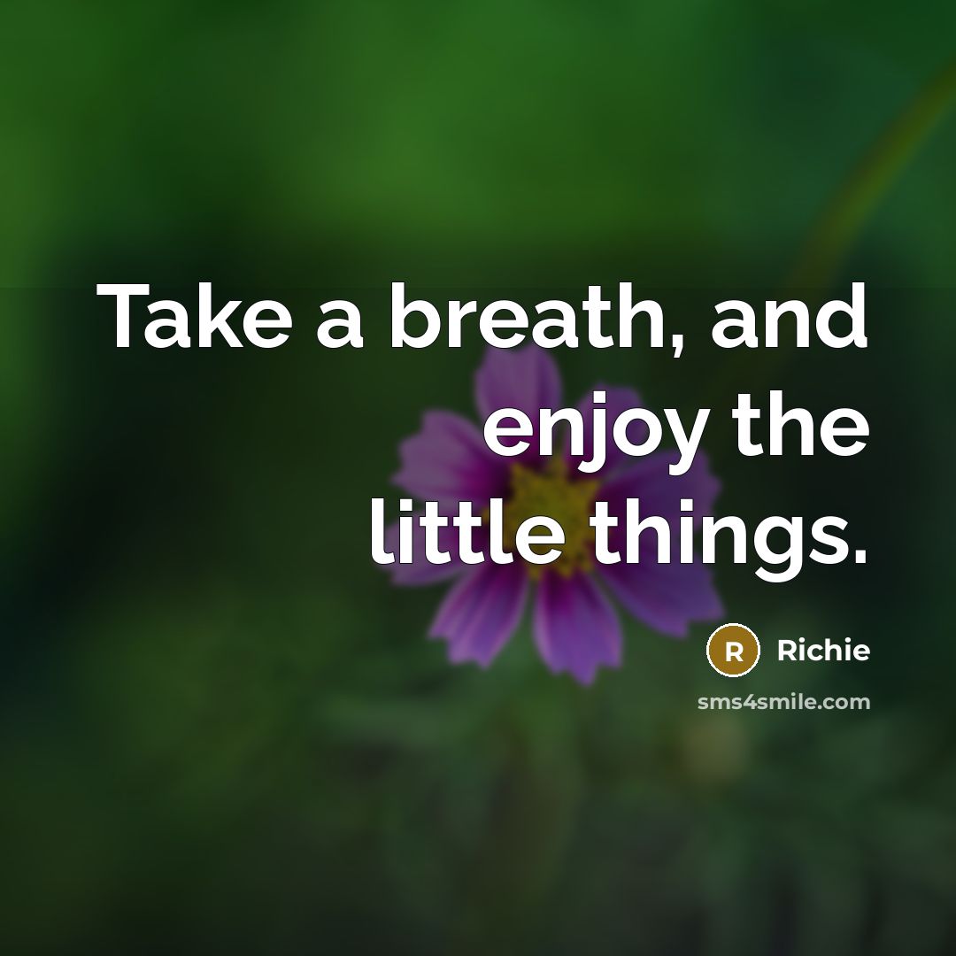 “Take a breath, and enjoy the little things.…” quote by Richie