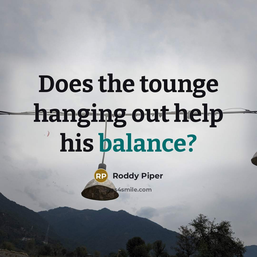 “Does the tounge hanging out help his balance?…” quote by Roddy Piper