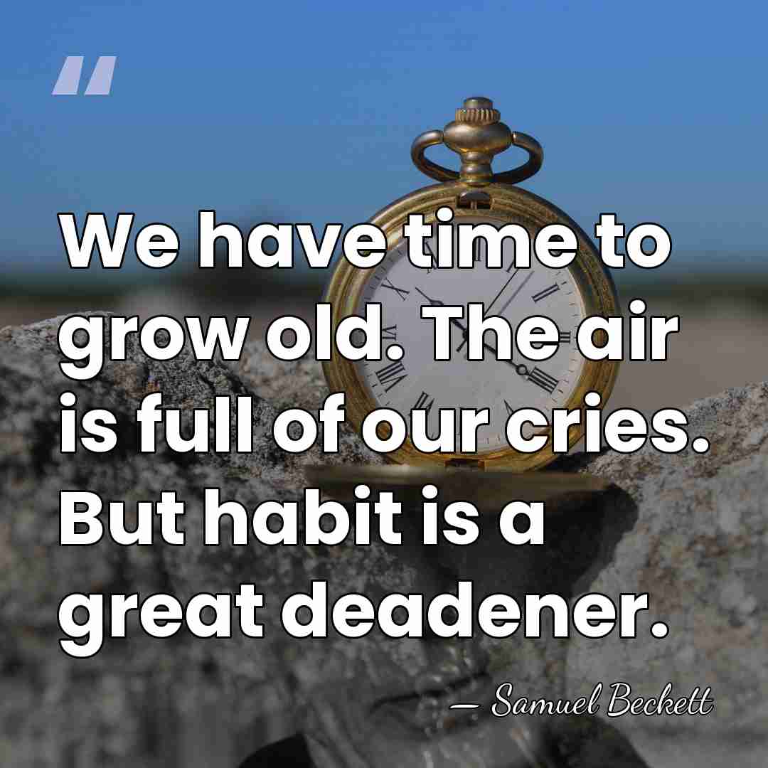 We have time to grow old. The air is full of our&hellip; - Samuel Beckett