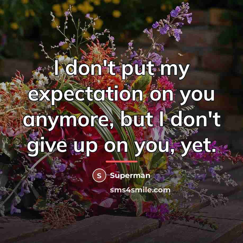 “I don't put my expectation on you anymore, but I…” quote by Superman