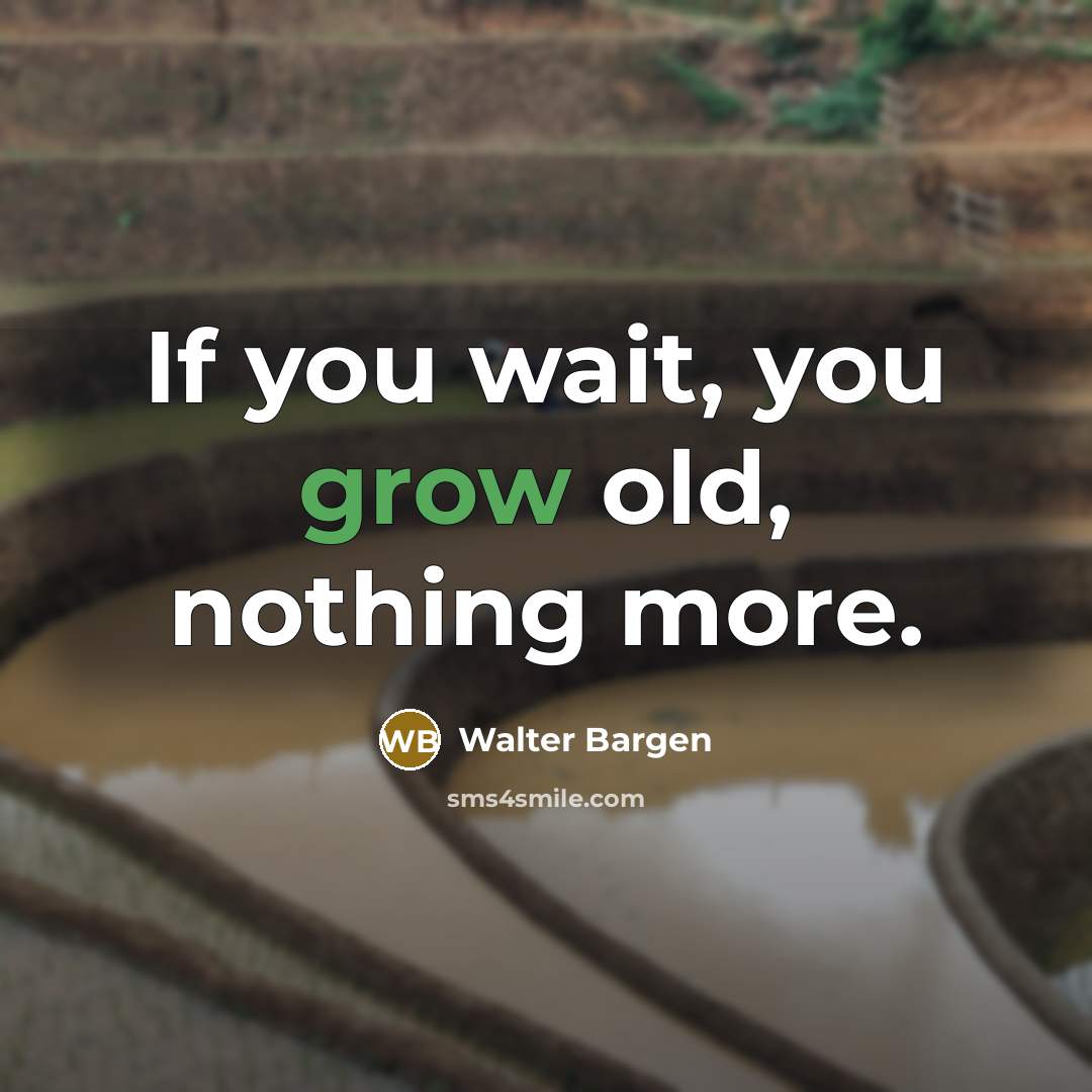 “If you wait, you grow old, nothing more.” quote by Walter Bargen