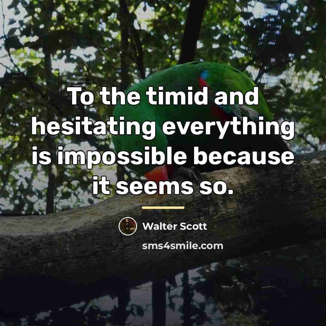 “To the timid and hesitating everything is impossible because it…” quote by Walter Scott